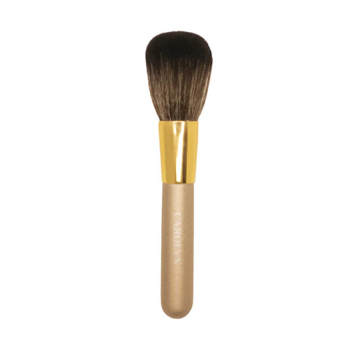 Blush Makeup Brush